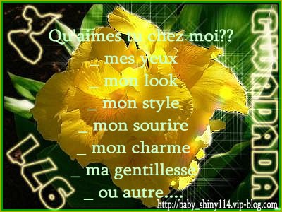  Sondage .....